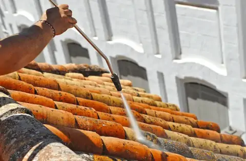 Nettoyage de toitures - La Force